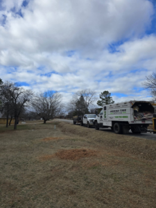 A Mercer Tree Service LLC truck with a wood chipper and fresh wood chips on the ground in Trenton, NJ.