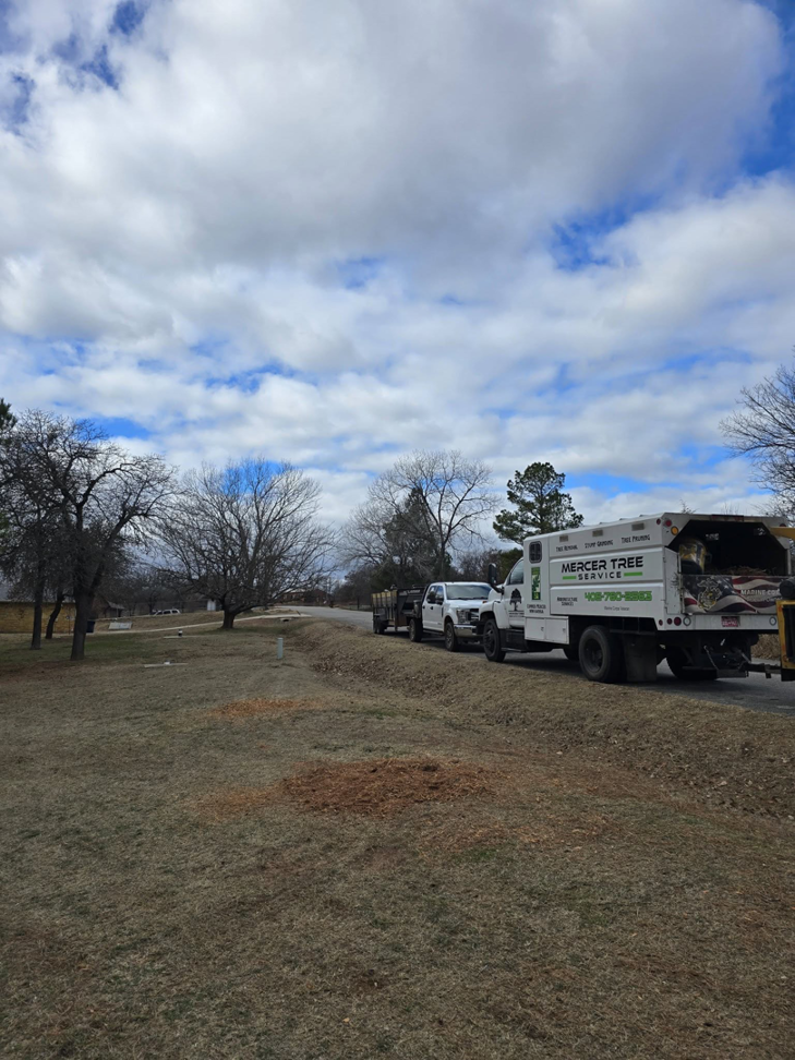 A Mercer Tree Service LLC truck with a wood chipper and fresh wood chips on the ground in Trenton, NJ.