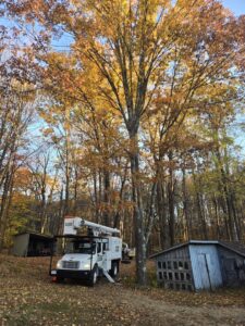 A tree service truck with a bucket lift parked in a wooded area during autumn for Trail Based Tree Service in Schenectady, NY.