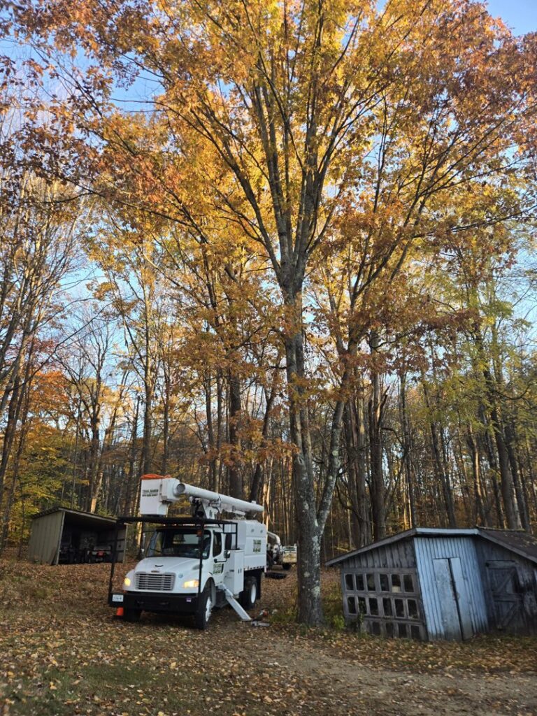 A tree service truck with a bucket lift parked in a wooded area during autumn for Trail Based Tree Service in Schenectady, NY.
