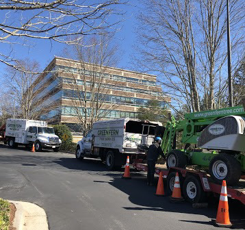 Green Fern Tree Service trucks and equipment ready for a job in Roswell, GA.