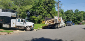 Two tree service trucks, one loaded with logs, on a street after a job by Moore & Wright Tree Service in Alexandria, VA