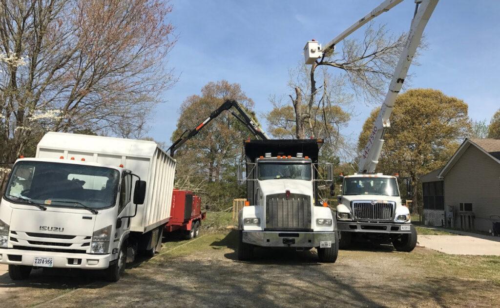 Multiple tree service trucks and equipment on a job site for Marshall's Tree Service in Virginia Beach, VA