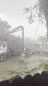 Big Ron's Tree Service trucks and equipment working in the rain on a job site in Miami, FL.