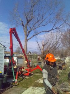 A tree service worker in a hard hat on a job site with a red boom lift for Crickets Tree Service LLC in New Castle, DE.