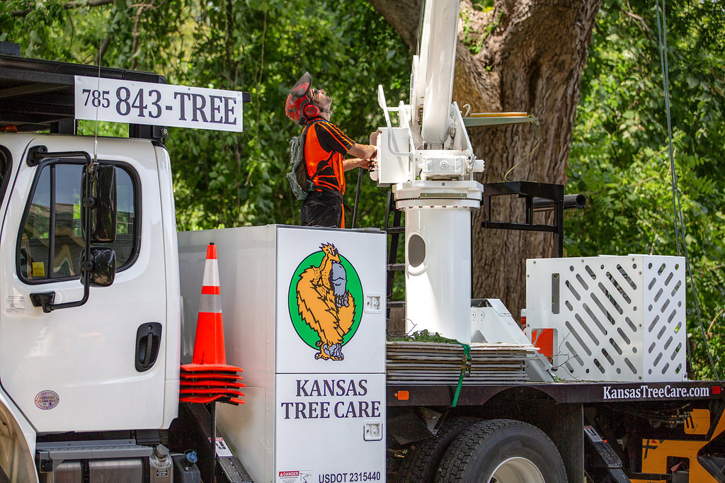 A tree service worker operating a bucket truck for Kansas Tree Care, ready for tree trimming in Lawrence, KS.