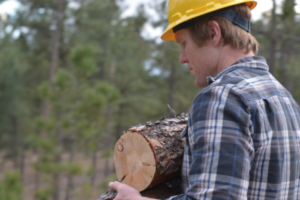 A tree service worker wearing a hard hat carrying a log in a forest for Ginger Firewood & Tree Co. in Rapid City, SD.