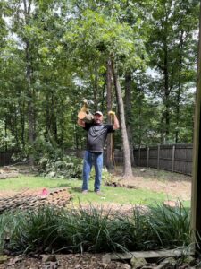 A tree service worker carrying a heavy log section, part of a tree removal job by Sunny Meadows Land and Tree LLC in Birmingham, AL