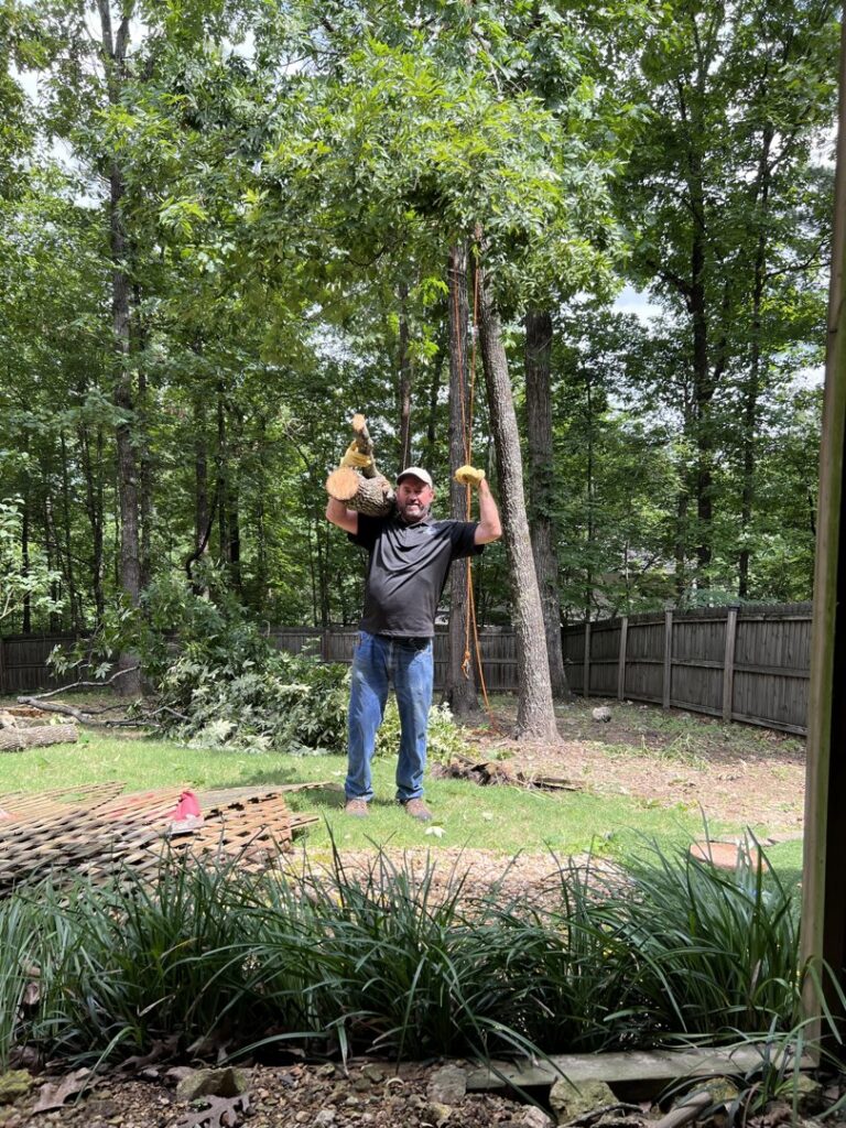 A tree service worker carrying a heavy log section, part of a tree removal job by Sunny Meadows Land and Tree LLC in Birmingham, AL