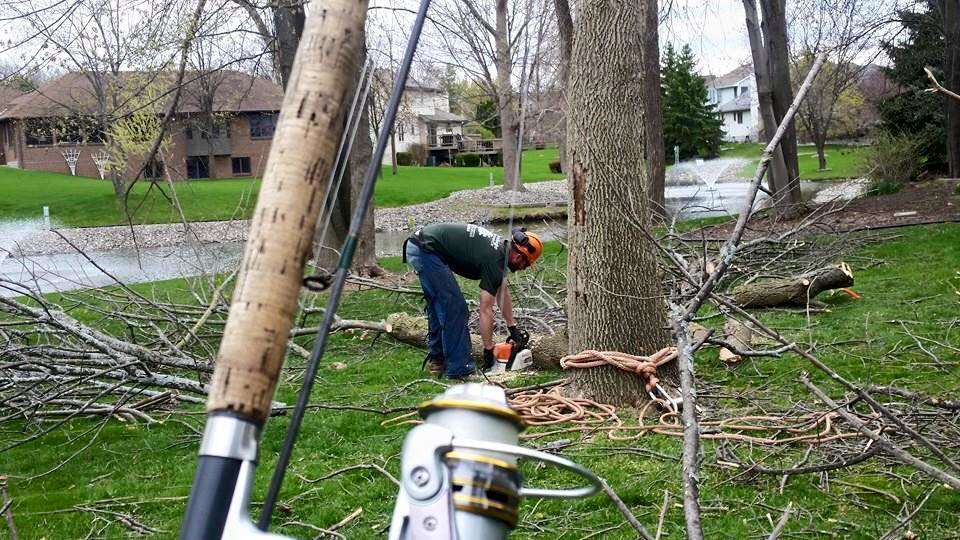 A tree service worker using a chainsaw to cut logs and clear branches for Trowbridge Tree Service in Bath, MI.