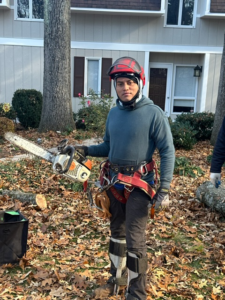 A tree service worker in full safety gear holding a chainsaw for TALL TREE Service in Severna Park, MD.