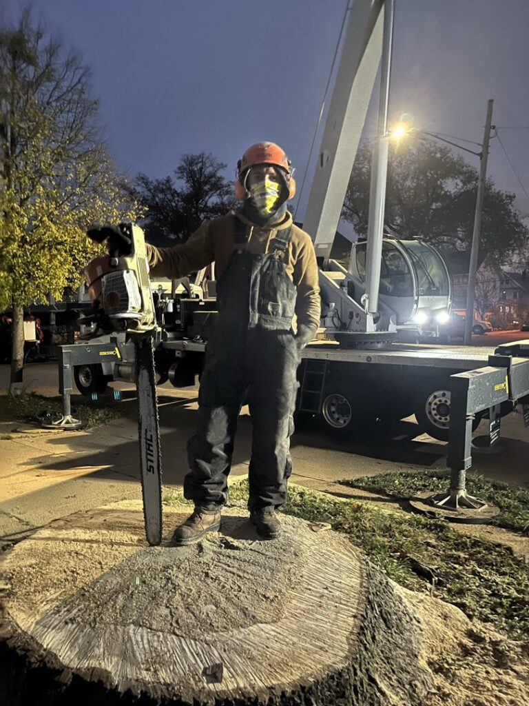 A tree service worker in safety gear holding a chainsaw on a large tree stump with a crane truck in the background, for Collier Lawn & Tree in Akron, OH.