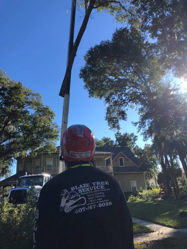 A Blaze Tree Service Inc worker observing a crane operation during tree work in Orlando, FL