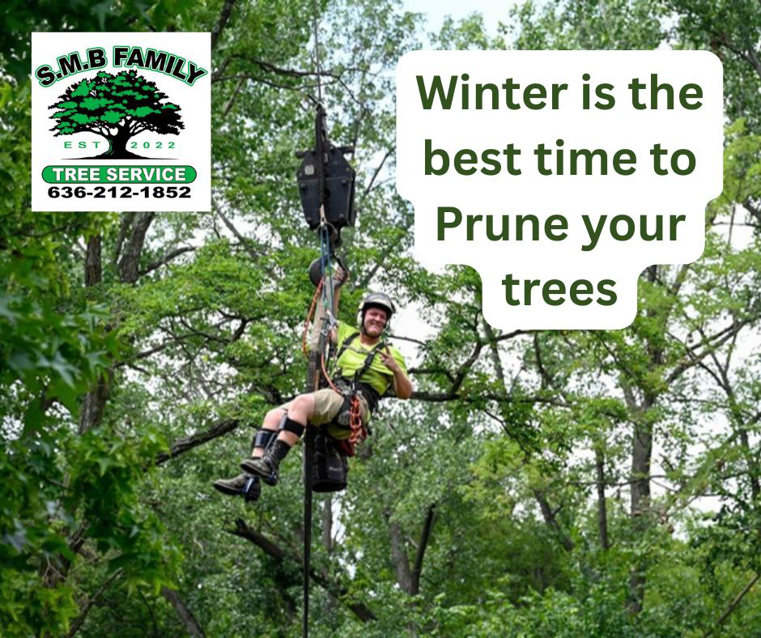 A tree service worker suspended by a crane, giving a thumbs-up while pruning trees for S.M.B Family Tree Service in House Springs, MO.