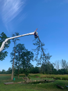 A tree service worker in a bucket truck cutting a large tree branch, providing professional tree care by G & C Tree Service LLC in Schenectady, NY.