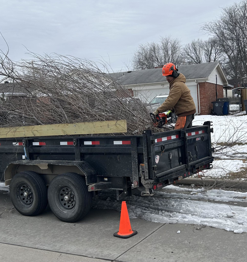 A tree service worker cutting branches with a chainsaw into a dump trailer for Hickman Tree Service in Orangeville, PA.