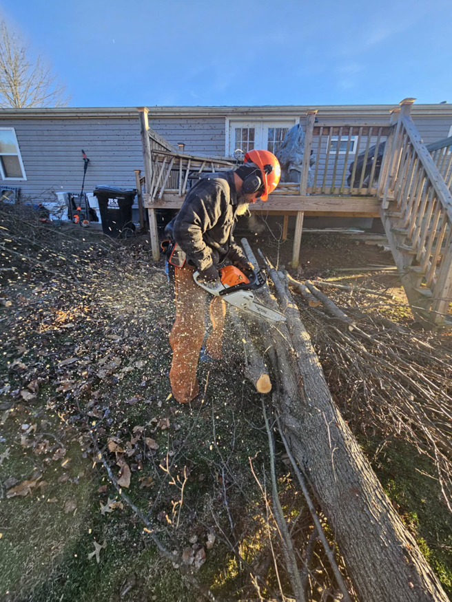 Tree service worker cutting a fallen tree trunk with a chainsaw for Poppen Tops Tree and Home Solutions in Kingsport, TN