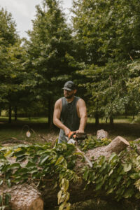 A tree service worker cutting a large log on the ground with a chainsaw for Sunny Meadows Land and Tree LLC in Birmingham, AL