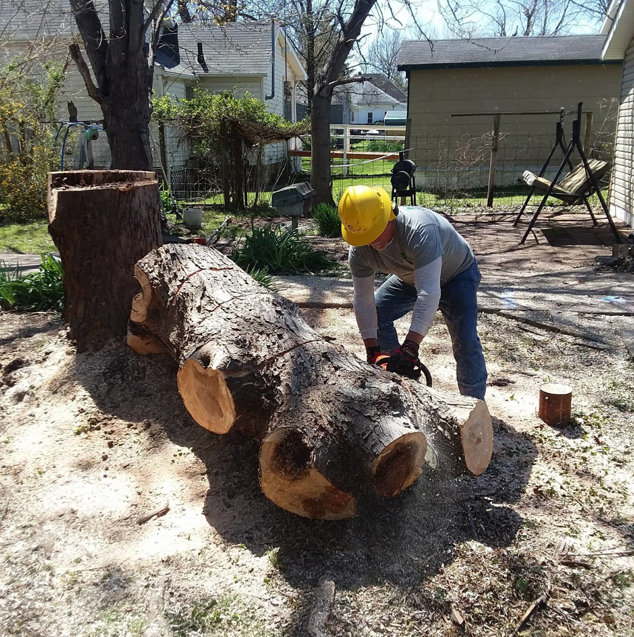 A tree service worker in a hard hat cutting a large tree log with a chainsaw for Scotty's Tree Service in Marion, IL.