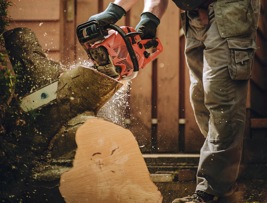 A tree service worker cutting a tree stump with a chainsaw for Georgetown Tree and Stump Service in Georgetown, KY