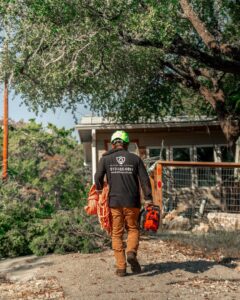 A Tree Scouts Tree Service & Trimming Georgetown worker carrying ropes and a chainsaw, walking towards a job site in Austin, TX.
