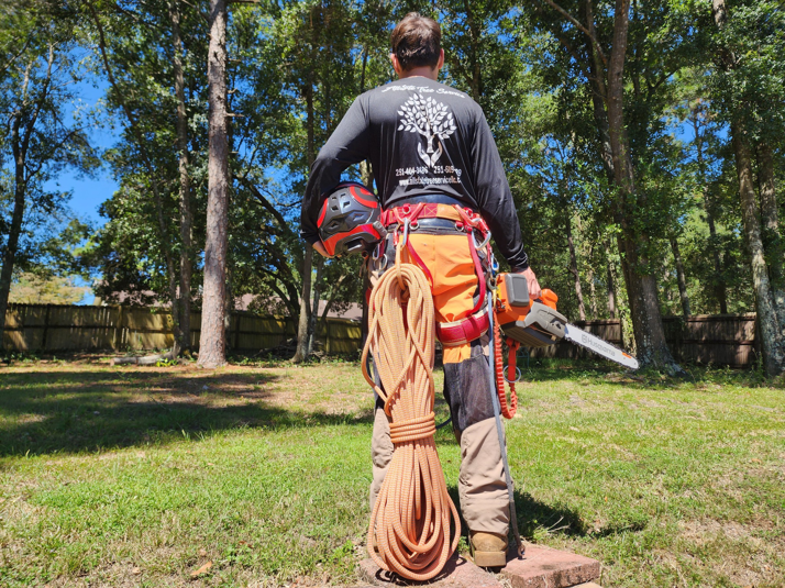A tree service worker with climbing gear and a chainsaw, ready for a job at Allstate Tree Service in Mobile, AL.