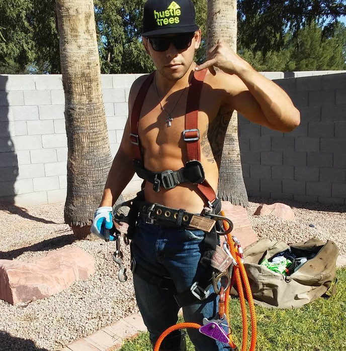 A tree service worker wearing a climbing harness and gear, ready for work at Arts Aspect Tree Services in Mesa, AZ