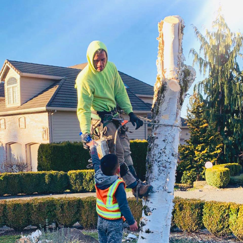 A tree service worker in a harness on a tree trunk, performing tree removal or trimming for Blessings Tree Service & Landscaping in Vancouver, WA.