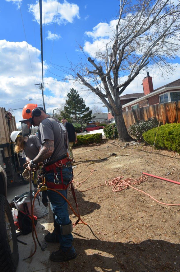 A tree service worker in safety gear preparing equipment for Greater Nevada Tree Service LLC in Sparks, NV.