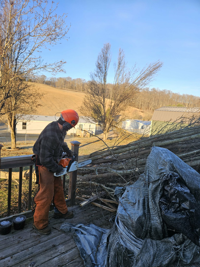 Tree service worker with chainsaw on deck after tree removal by Poppen Tops Tree and Home Solutions in Kingsport, TN