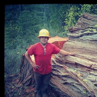 A tree service worker in a hard hat standing next to large cut logs and a stump by Maxum Tree Service in Grass Valley, CA.