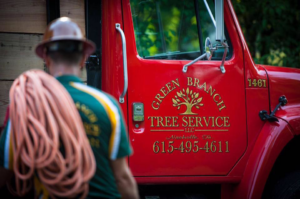 A tree service worker with coiled rope next to a branded truck from Green Branch Tree Service LLC in Nashville, TN.