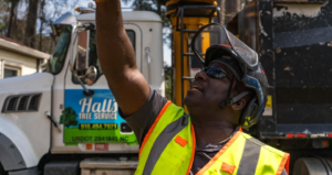 A tree service worker in safety gear looking up with a Hall's Tree Service, INC truck in Fayetteville, NC.