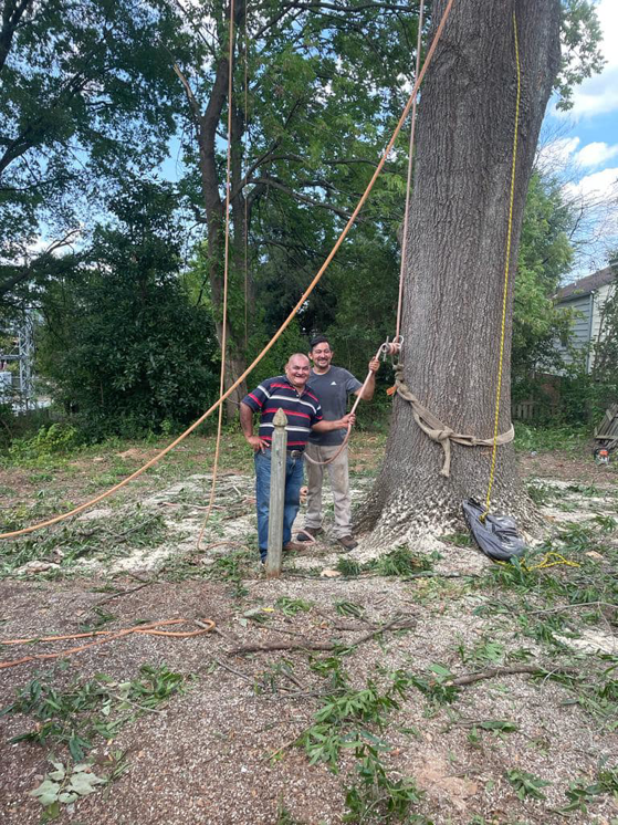 Two tree service workers standing next to a large tree with rigging after completing a job for Ventura Tree Services in Conroe, TX.