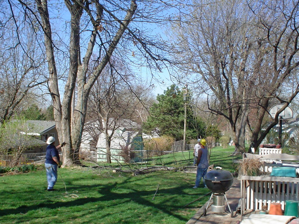 Two tree service workers preparing for a job in a residential backyard for Marv's Tree Service in Omaha, NE.