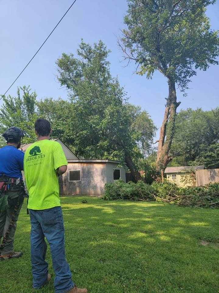 Arbor Med Tree Service workers assessing a tree and clearing cut branches from a job site in Wichita, KS.