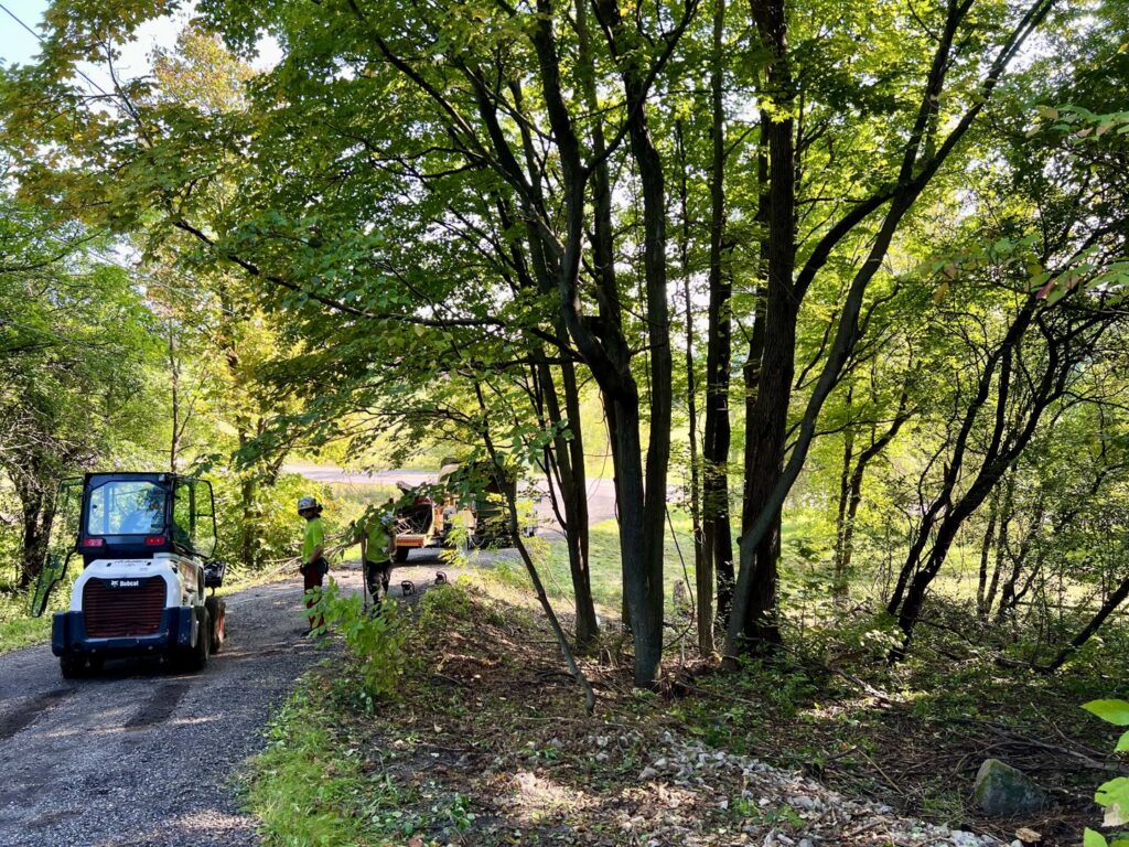 Tree service workers clearing branches and debris from a roadside with a mini loader and chipper at Teacher's Tree Service in South Burlington, VT.