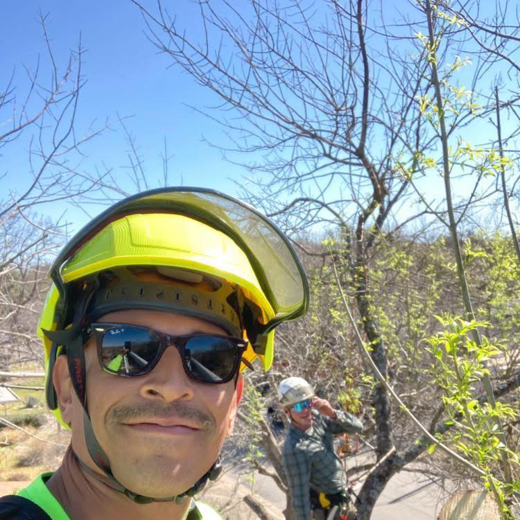 Two professional tree service workers climbing a tree in safety gear for Makeover Tree Care in Austin, TX.