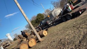 Tree service workers cutting large logs on the ground with a Bobcat on a trailer in the background by O'Connor Tree Service in Omaha, NE.