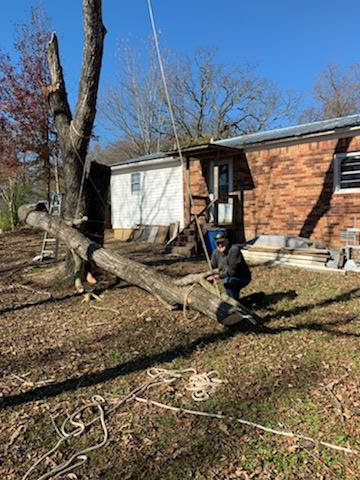 Tree service workers managing a large fallen tree trunk with ropes near a residential property by TW's Tree Service in Memphis, TN.