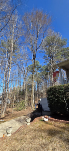 Tree service workers removing a tall tree near a residential home for J & K Tree Service in Robbins, NC.