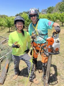 Two tree service workers in safety gear, one holding a chainsaw, after completing a tree removal job for Nexus Tree Solution's in Sacramento, CA