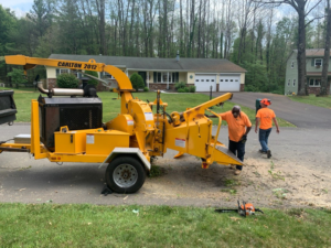 Two tree service workers operating a large wood chipper to process branches for G & C Tree Service LLC in Schenectady, NY.