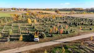 A tree spade machine positioned among rows of trees in a nursery operated by Hartington Tree in Yankton, SD.