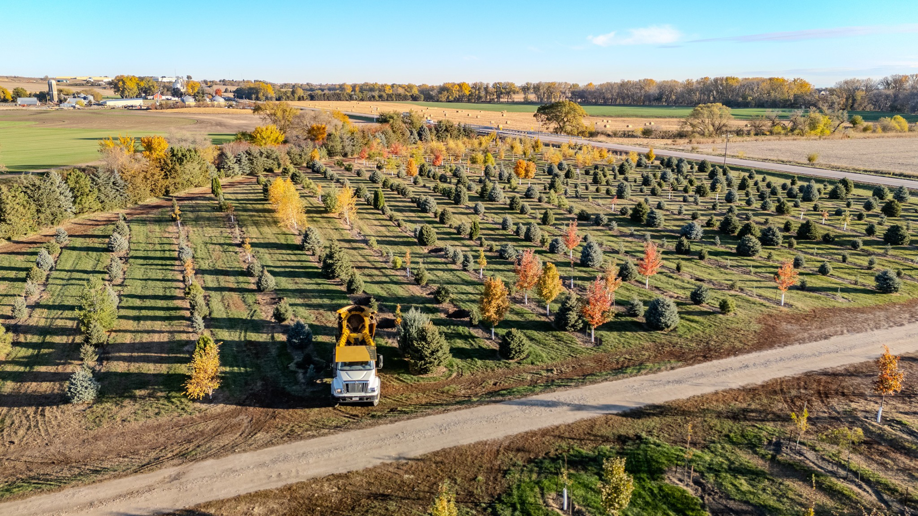 A tree spade machine positioned among rows of trees in a nursery operated by Hartington Tree in Yankton, SD.