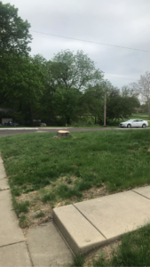 A freshly cut tree stump in a residential yard, indicating a completed tree removal service by K.M.C Lawn & Tree service in Peoria, IL.
