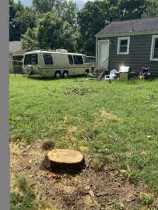 A tree stump remaining after tree removal services by Webster's Tree Service Nashville TN in Antioch, TN.