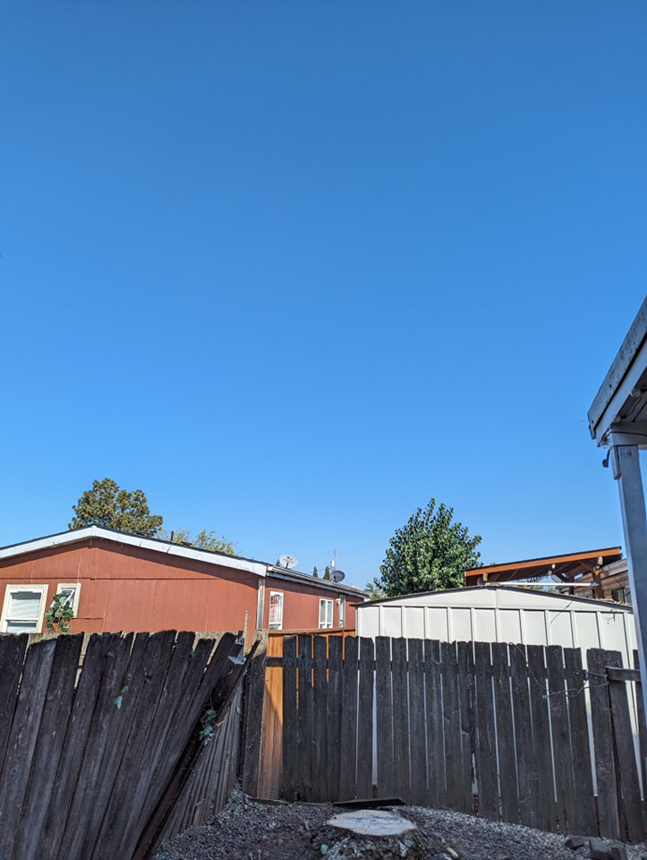 A tree stump visible in a residential yard after a tree removal service by Yost Tree Service in Salem, OR.
