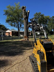 A tree stump and a skid steer with grapple attachment used by Clever Tree Service LLC for tree removal in St. Louis, MO.
