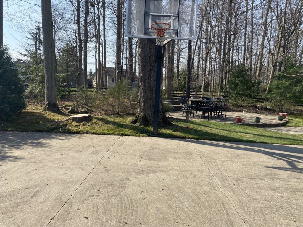 A freshly cut tree stump in a residential backyard near a basketball hoop, indicating recent tree removal by Collier Lawn & Tree in Akron, OH.